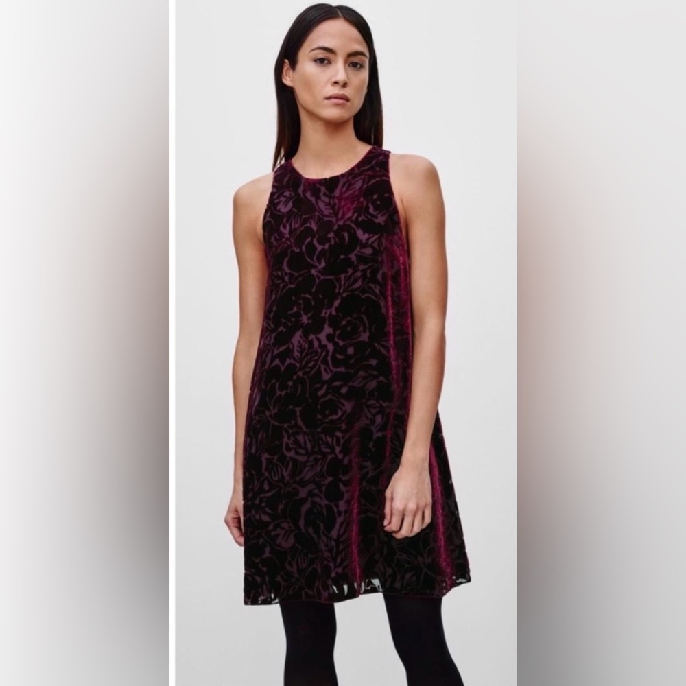 Aritzia | Wilfred Trompette Velvet Floral Dress